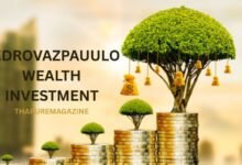 pedrovazpaulo-wealth-investment