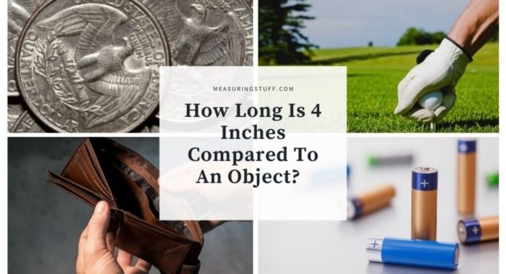 what-does-4-inches-look-like