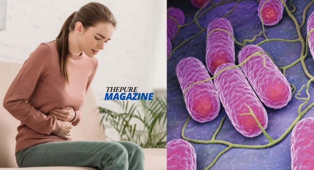 burrata-in-pregnancy