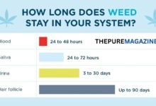 how-long-does-hhc-stay-in-your-system