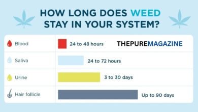 how-long-does-hhc-stay-in-your-system