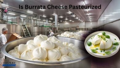 is-burrata-cheese-pasteurized