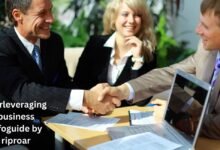 roarleveraging-business-infoguide-by-riproar